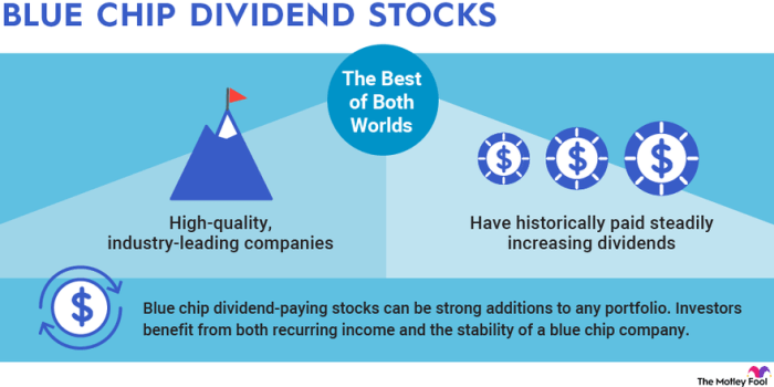 Chip stocks dividend buy blue high now