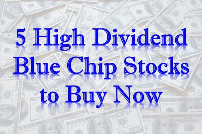 Stocks dividend investor